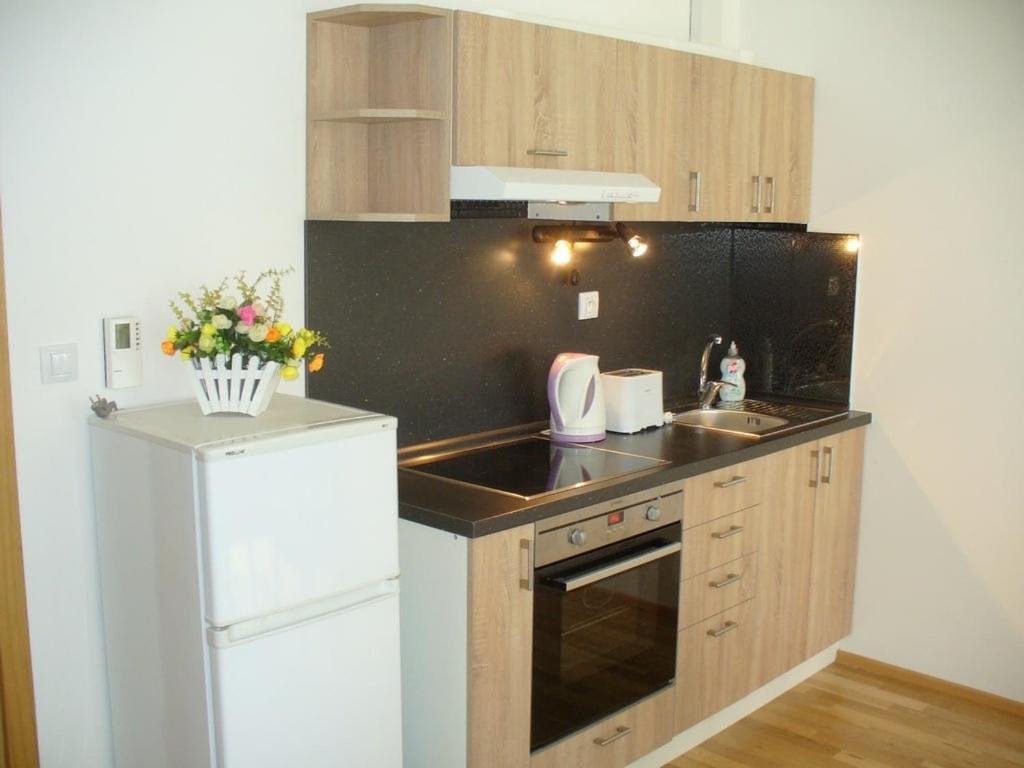 Garden Apartment With Garage In Central Prag Dış mekan fotoğraf